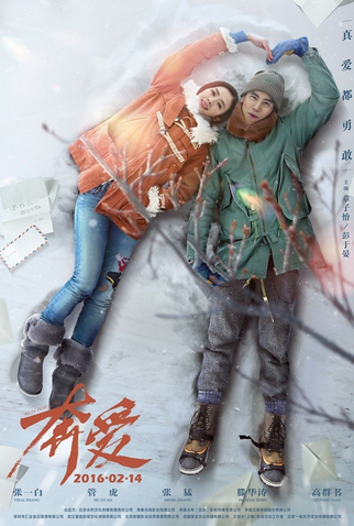 Poster 12 de Filme Run for Love (2016)