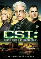 CSI: Investigação Criminal (13ª Temporada) (CSI: Crime Scene Investigation (Season 13))
