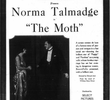 The Moth
