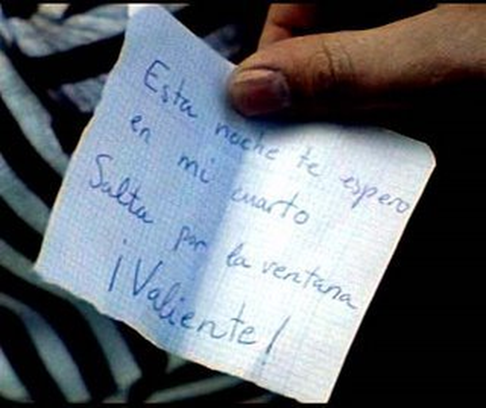 Polida - Foto 6