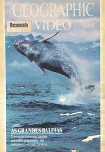 National Geographic Vídeo - As Grandes Baleias (National Geographic Specials: The Great Whales)