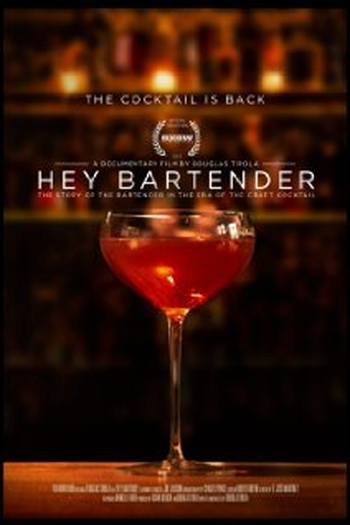 Poster de Filme Hey Bartender (2013)