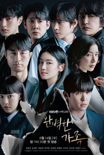 Perfect Family - Poster / Capa / Cartaz - Oficial 3
