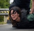 Episódio 1