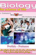 Protozoa (Protozoa)