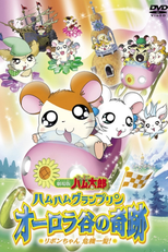 Hamtaro: Miracle in Aurora Valley (Gekijô ban Tottoko Hamutaro: Ôrora no kiseki - Ribon chan kiki ippatsu!)