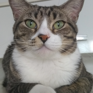 Foto de perfil de Brenda