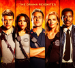 Chicago Fire: Heróis Contra o Fogo (5ª Temporada)