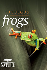 As Rãs Fabulosas de Attenborough (Attenborough's Fabulous Frogs)