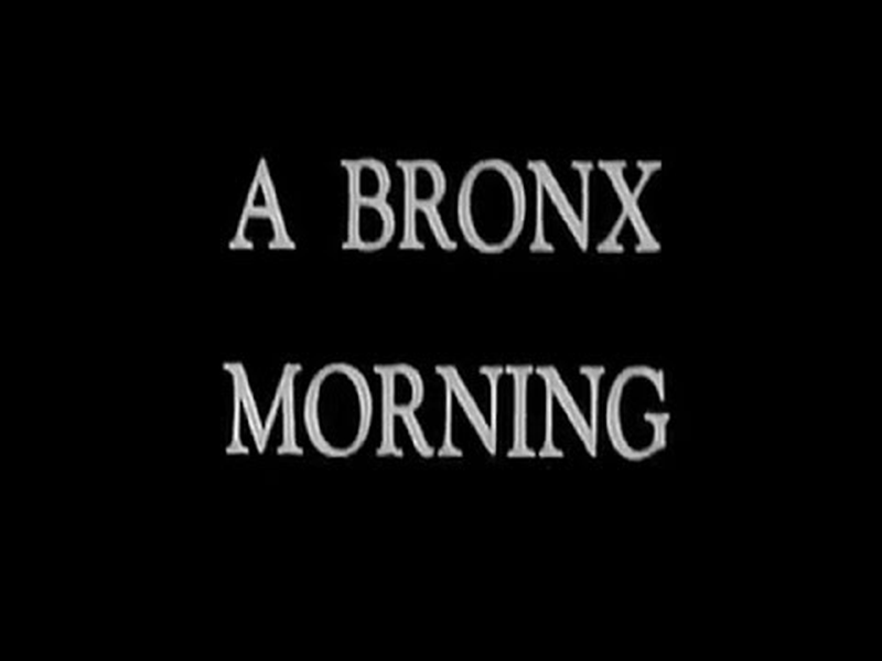 Foto 1 de Uma manhã no Bronx