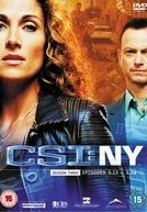 CSI: Nova Iorque (3ª Temporada) (CSI: NY (Season 3))