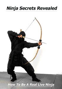 Ninja Bombs (Ninja Bombs)