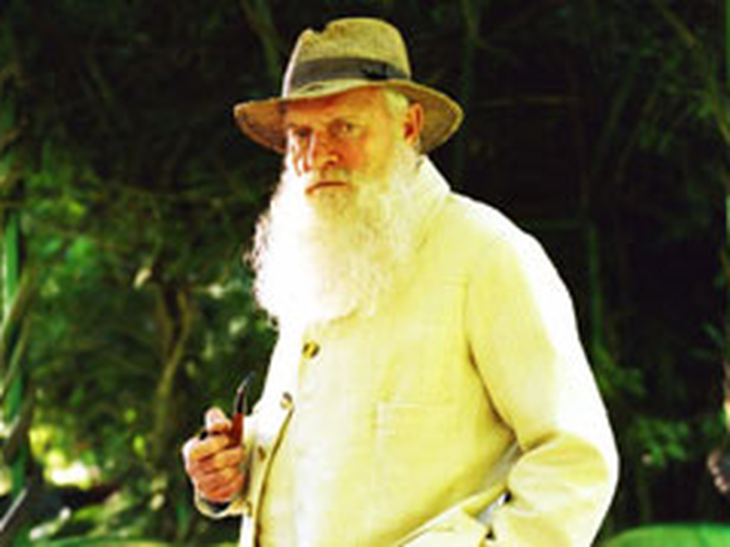 Foto 2 de Os Impressionistas