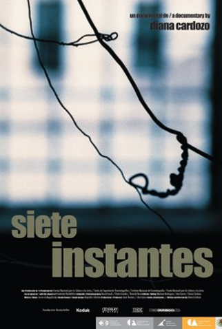 Poster 1 de Filme Sete Instantes (2008)