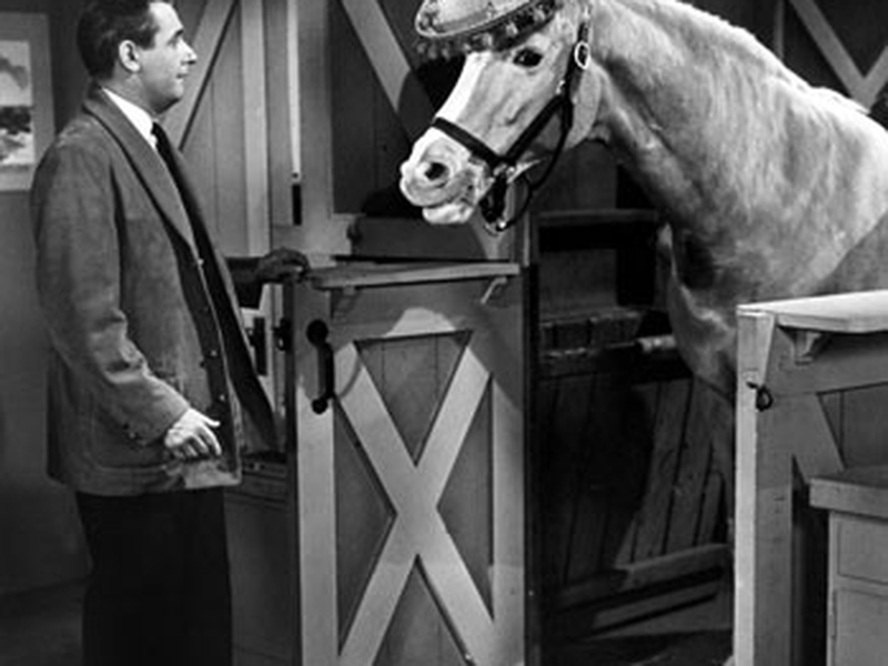 Foto 1 de Mister Ed