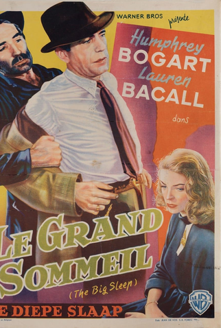 Poster 11 de Filme À Beira do Abismo (1946)