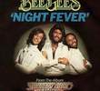 Bee Gees: Night Fever