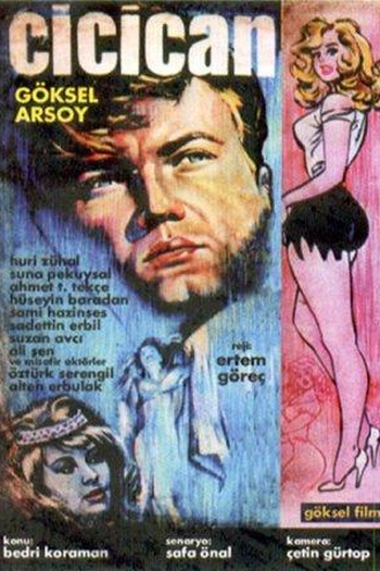 Poster de Filme Cici Can (1963)