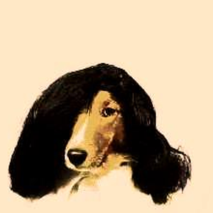 Foto de perfil de Mateus