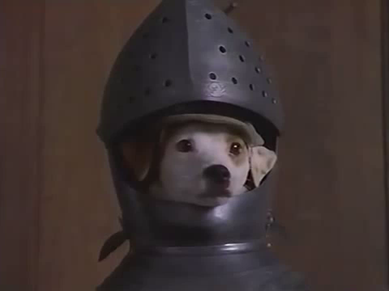 Foto 3 de The Slobbery Hound by Wishbone