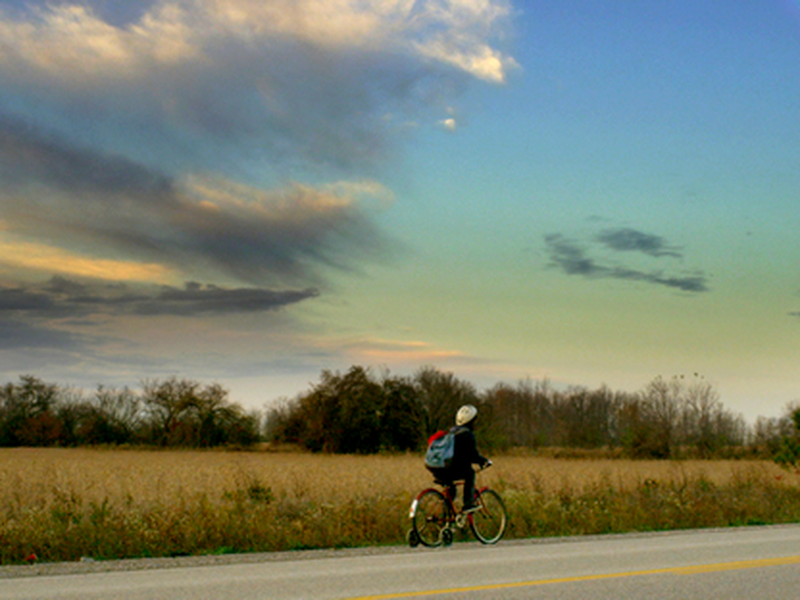 Foto 2 de The Rainbow Kid