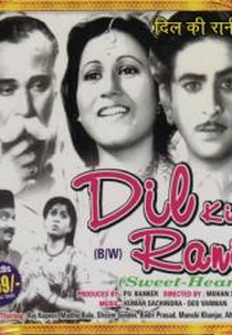 Dil-Ki-Rani (Dil-Ki-Rani)