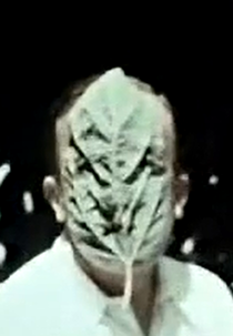 La Garoupe (La Garoupe)