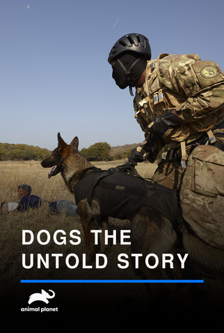 Poster 1 de Série Sobre Cães e Homens (2016)