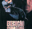 Execução Sumária