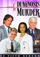 Diagnosis Murder  (1ª Temporada) 