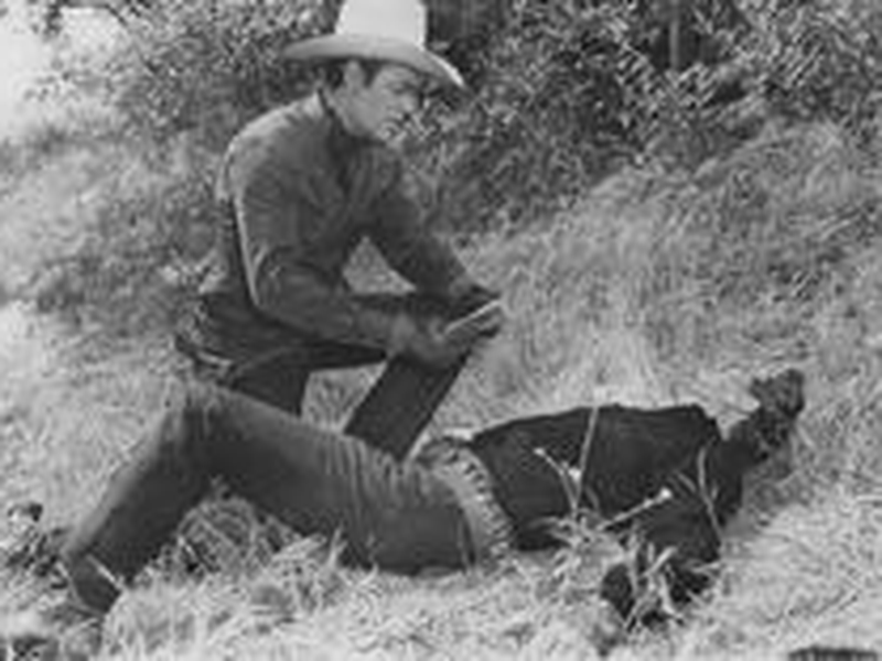 Foto 7 de Armadilha da Morte