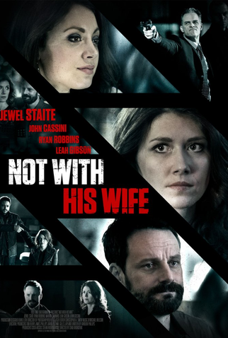 Poster 1 de Filme Esposa Infiltrada (2016)