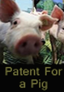 Patente: Até Onde? (Arme Sau - Das Geschäft mit dem Erbgut)