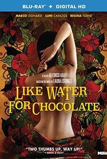 Como Água para Chocolate - Poster / Capa / Cartaz - Oficial 5