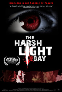 The Harsh Light of Day - Poster / Capa / Cartaz - Oficial 1