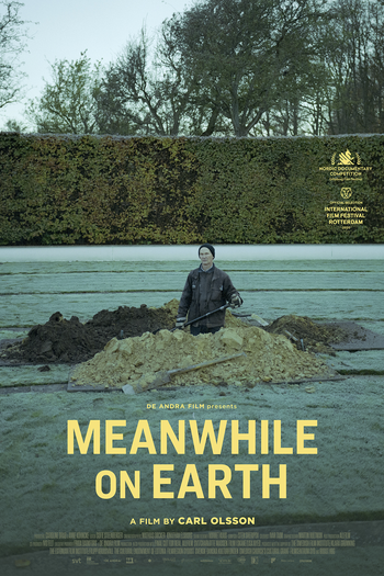 Poster de Filme Meanwhile on earth (2020)