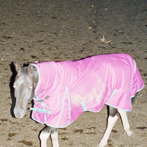 Foto de perfil de caterine