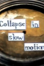 Velvet Condom: Collapse In Slow Motion (Velvet Condom feat. Mad Kate: Collapse In Slow Motion)