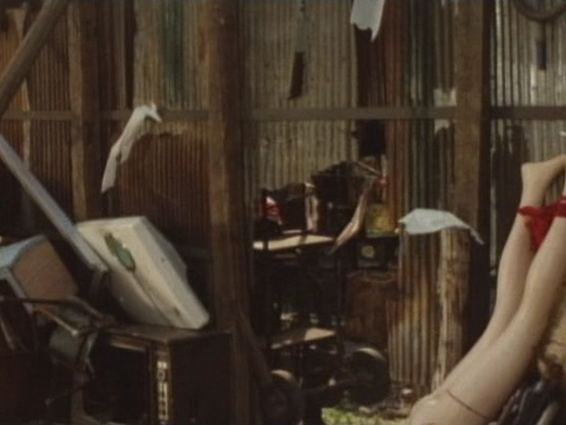 Foto 8 de The Nineteen Year-Old's Map