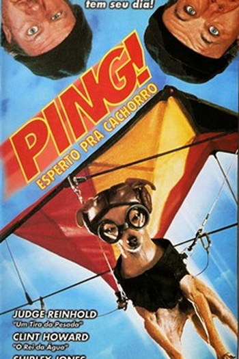  de Filme Ping: Esperto pra Cachorro (2000)