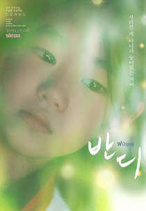 Bandi (반디)