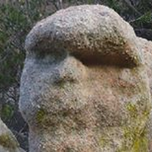 Foto de perfil de Rasec