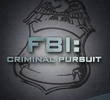 FBI no Século 21 (1ª Temporada)