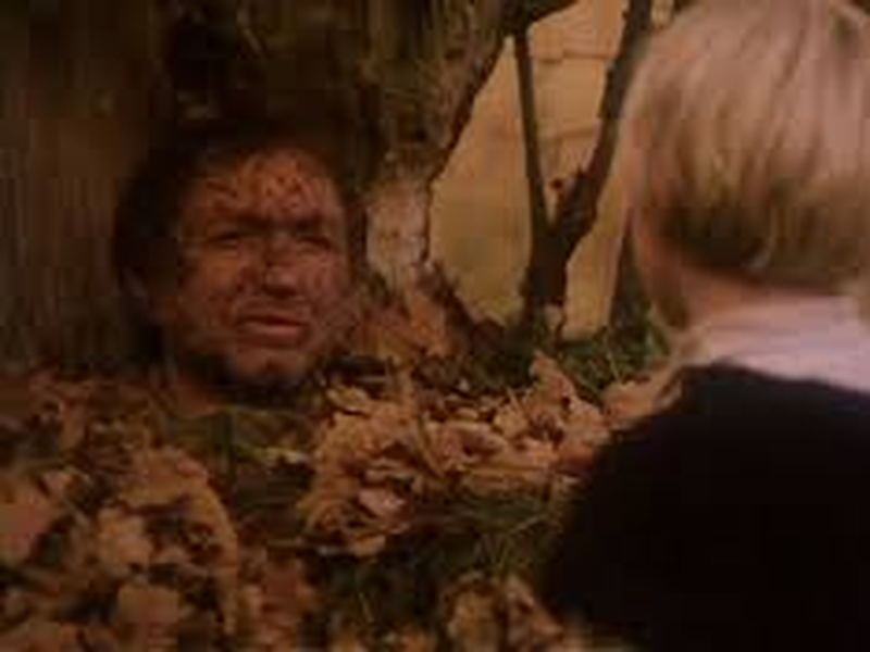 Foto 11 de Vilko dantu karoliai