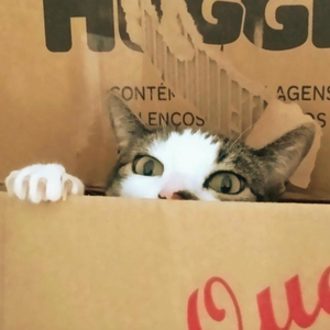 Foto de perfil de Angelo