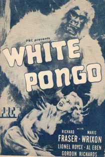 Pongo, O Gorila Branco - Poster / Capa / Cartaz - Oficial 1