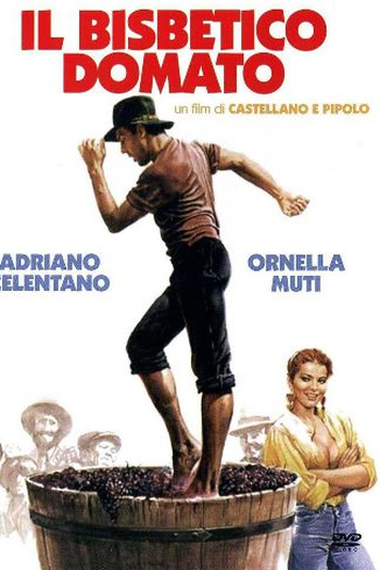 Poster de Filme O Solteirão Amansado (1980)