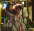 6회