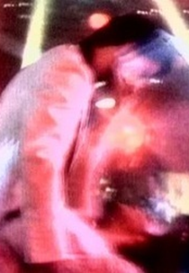 Perfect Day (Perfect Day)