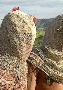 Índios no Brasil - Do outro lado do céu (Índios no Brasil - Do outro lado do céu)